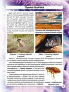 Світ навколо нас. Фотоенциклопедія. Бактерії. Image №10