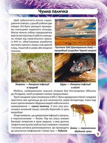 Світ навколо нас. Фотоенциклопедія. Бактерії. Image №10