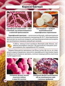 Світ навколо нас. Фотоенциклопедія. Бактерії. Image №11