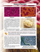 Світ навколо нас. Фотоенциклопедія. Бактерії. Image №12