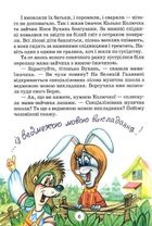 Дивовижні пригоди в лісовій школі. Сонце серед ночі. Пригоди в Павутинії. Image №5