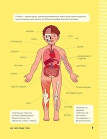 Книжка з розвивальними завданнями для дітей. Тіло людини. Зображення №6