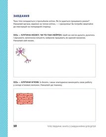 Книжка з розвивальними завданнями для дітей. Тіло людини. Зображення №9