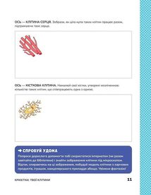 Книжка з розвивальними завданнями для дітей. Тіло людини. Зображення №10