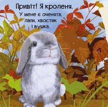 Знайомся, я кроленя. Image №6