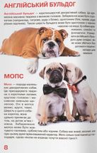 Велика книжка. Собаки. Image №5