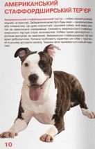 Велика книжка. Собаки. Image №6