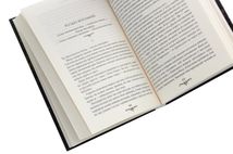 Київська сищиця. Життя на карту. Книга 1. Image №5