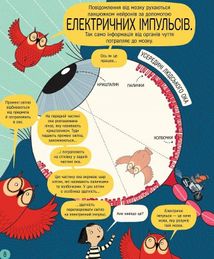 Книжка про мозок і те, як він працює. Зображення №9