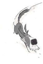 Пан Пес і вухасті проти напасті. Книга 1. Image №8