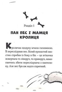Пан Пес і вухасті проти напасті. Книга 1. Image №9