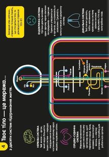 100 фактів про людське тіло. Зображення №6