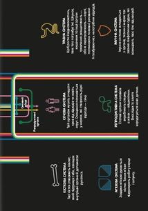 100 фактів про людське тіло. Зображення №7