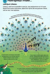 100 фактів про музику. Зображення №5
