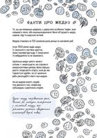 Анатомія океану. Неймовірні місця та частини світу, сховані під водою. Image №4