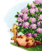 Жерар на Витівці. Зображення №10