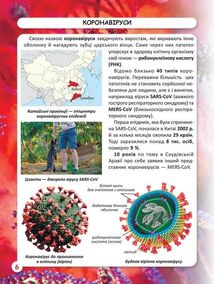 Світ навколо нас. Фотоенциклопедія. Віруси. Зображення №7
