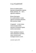 Подорожник. Зображення №4
