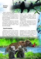Про все на світі маленьким українцям. Зображення №3