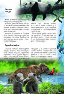 Про все на світі маленьким українцям. Зображення №3