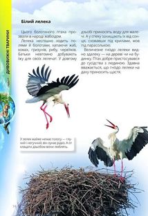 Про все на світі маленьким українцям. Зображення №4