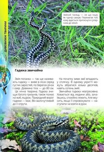 Про все на світі маленьким українцям. Зображення №5