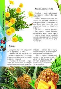 Про все на світі маленьким українцям. Зображення №8