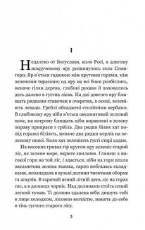 Кайдашева сім’я. Зображення №4