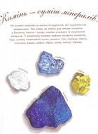 Камінь живий. Зображення №3