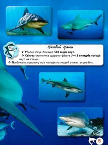 Світ навколо нас. Фотоенциклопедія. Акули. Image №5
