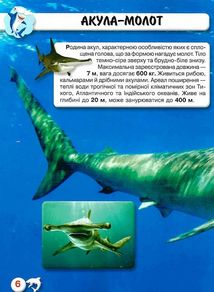 Світ навколо нас. Фотоенциклопедія. Акули. Image №6