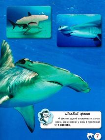 Світ навколо нас. Фотоенциклопедія. Акули. Image №7