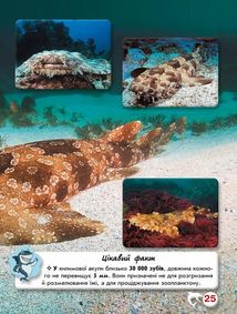 Світ навколо нас. Фотоенциклопедія. Акули. Image №9