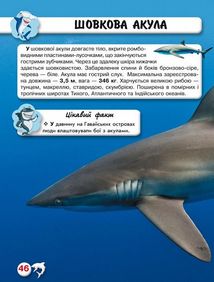 Світ навколо нас. Фотоенциклопедія. Акули. Image №10