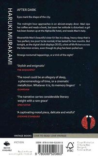 After dark. Image №2