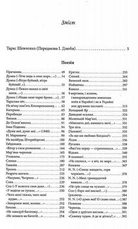 Кобзар. Image №3