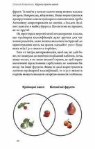 Фрукти проти овочів. Зображення №7