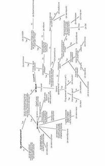 Фрукти проти овочів. Зображення №10