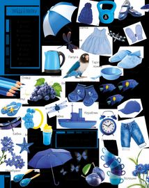 500 перших слів. Вивчаємо кольори, розвиваємо увагу. Image №6