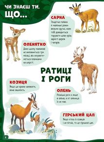 Велика книга про тварин. Image №9