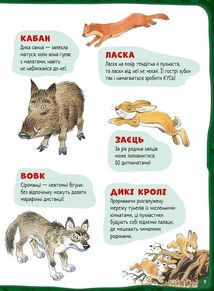 Велика книга про тварин. Image №10