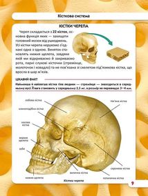 Світ навколо нас. Фотоенциклопедія. Тіло людини. Image №6