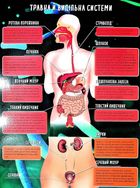 Книжка-гра. Збери пазл. Тіло людини. Image №6