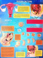 Книжка-гра. Збери пазл. Тіло людини. Image №9