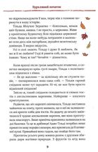 Тільда Яблучне Зернятко. Чудові історії із Шипшинового провулка. Книга 1. Image №7