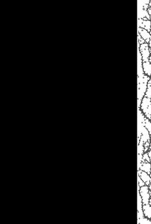 Мені здалося - я живу завжди. Image №10