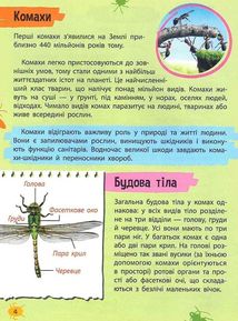Мініенциклопедія. Комахи та павуки. Зображення №4