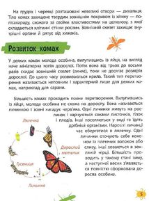 Мініенциклопедія. Комахи та павуки. Зображення №5