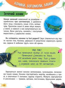 Мініенциклопедія. Комахи та павуки. Зображення №6