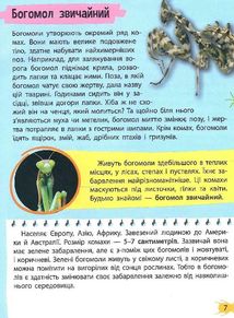 Мініенциклопедія. Комахи та павуки. Зображення №7